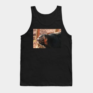 The Bear Necessities Tank Top